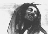 Marley Portfolio Piece