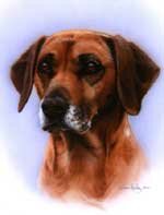 Dog Portfolio Piece 