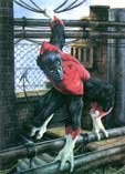 Nightcrawler (c) Marvel Comics